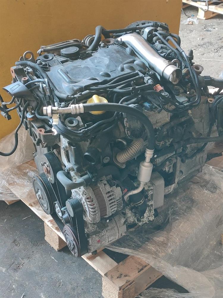 Двигатель Ниссан Х-Трейл в Тайшете 50287